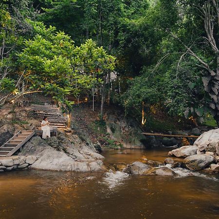 เดอะริเวอร์ แม่กำปอง The River Maekampong Chiang Mai Ban Pok Nai Ngoại thất bức ảnh